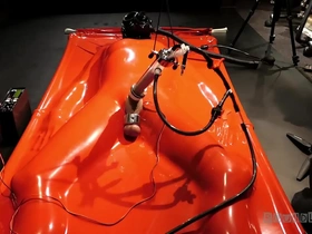 Boundlads - milked in vacbed