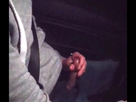 Driver jerks off